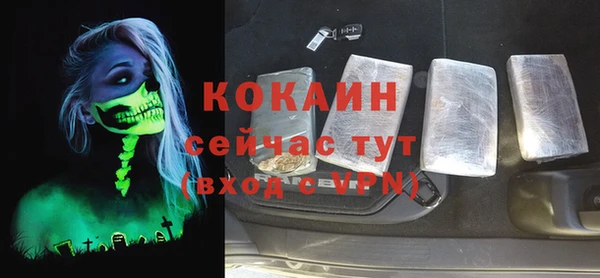 первитин Гусев