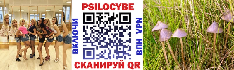 нарко площадка официальный сайт  Тавда  Галлюциногенные грибы мицелий  цены наркотик 