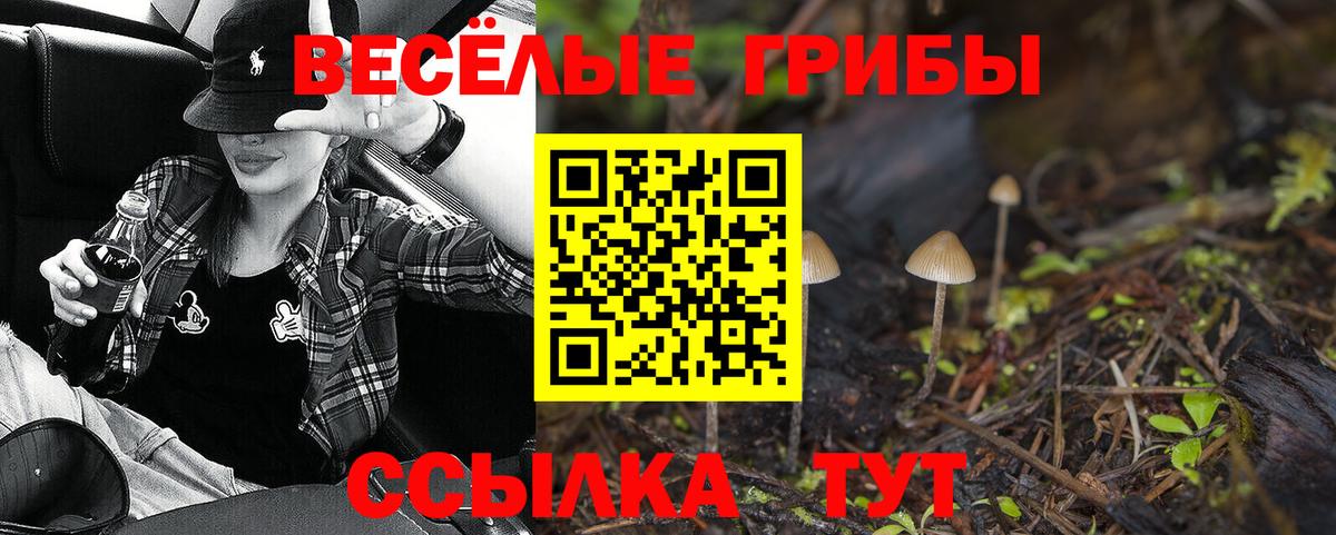 Галлюциногенные грибы мухоморы  Вход с VPN  Тавда 